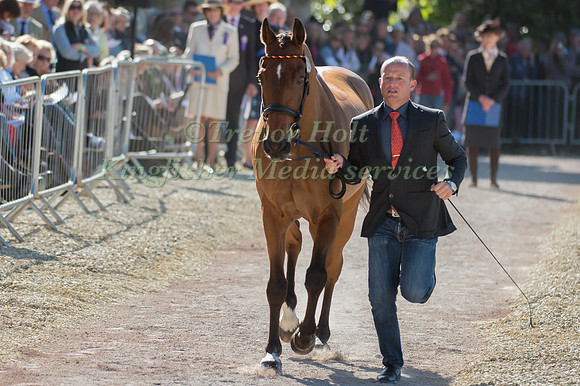 Michael Jung of Germany  and La Biosthetique - Sam FBW