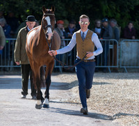 ALEXANDER WHEWALL AND  CHAKIRIS STAR