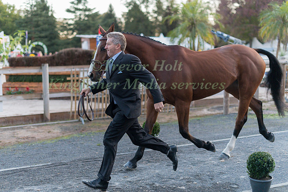 Paul Richard DONOVAN (IRL) AND SPORTSFIELD PRETTY LADY