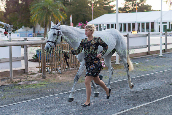 Jonelle PRICE (NZL) AND  FAERIE DIANIMO