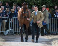 ALEXANDER BRAGG (GBR) AND  REDPATH RANSOM