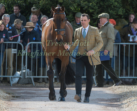 ALEXANDER BRAGG (GBR) AND  REDPATH RANSOM