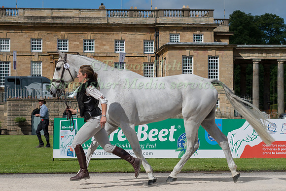 CAROLINE  POWELL (NZL) AND UP UP AND AWAY AT THE EQUI-TREK CCI *** FINAL HORSE INSPECTION OF THE 2017 BRAMHAM INTERNATIONAL HORSE TRIALS