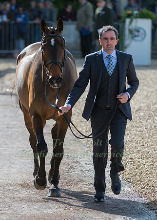 ALAN NOLAN (IRL) AND  BRONZE FLIGHT