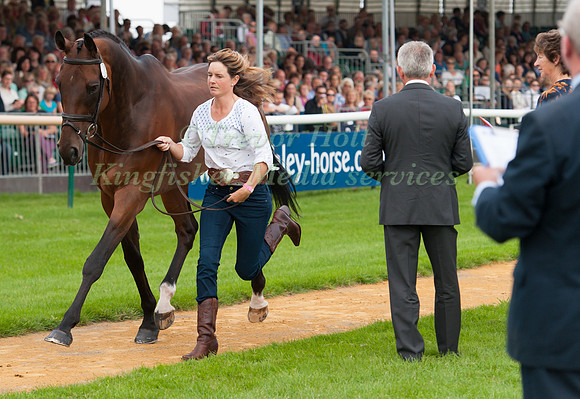 Piggy French (GBR) and Jakata at the First Horse inspection