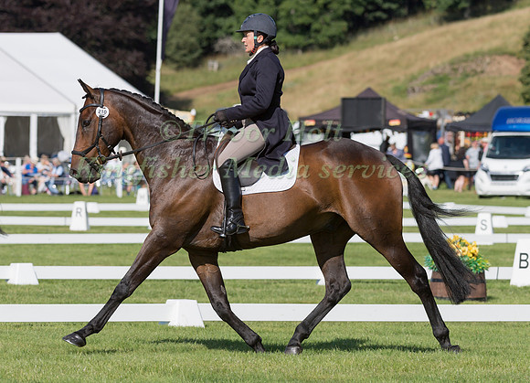 AVRIL JOHNSTON  AND PARA HANDY II