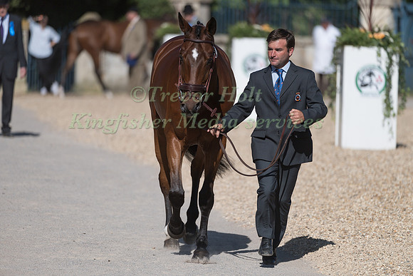 CARLOS DIAZ FERNANDEZ (ESP)  AND  JUNCO CP