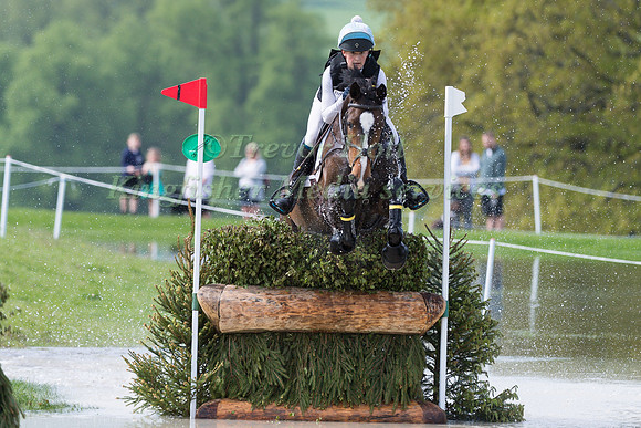 ANNA PRICE RIDING  BLAKENEY SURPRISE