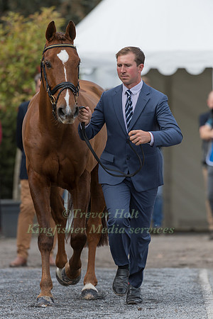 DAVID DOEL AND CARNEYHAUGH RUA
