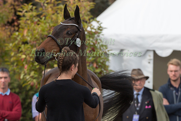 DANIELLE DUNN AND GRANDSLAM