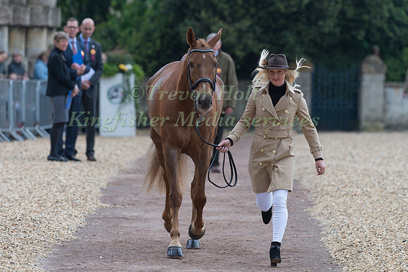 Georgie Spence (GBR) and  Halltown Harley