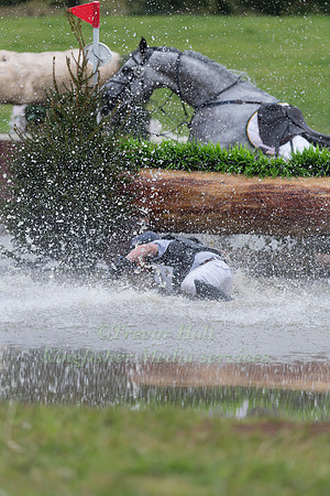 BEN HOBDAY RIDING  SHADOW SEAHORSE