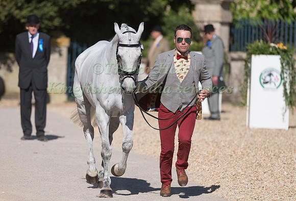 PAUL TAPNER (AUS) AND  BONZA KING OF ROUGES