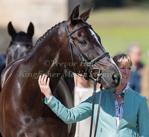 NICOLA WILSON (GBR) AND YACABO BK