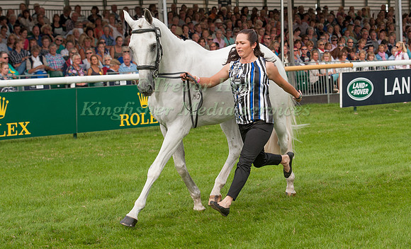 Natalie Blundell (AUS) and Algebra at the 1st horse inspection