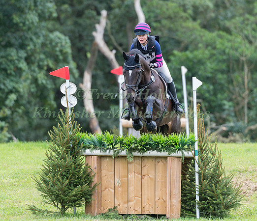 CATHRINE TAYLOR RIDING  AL PACINO Q