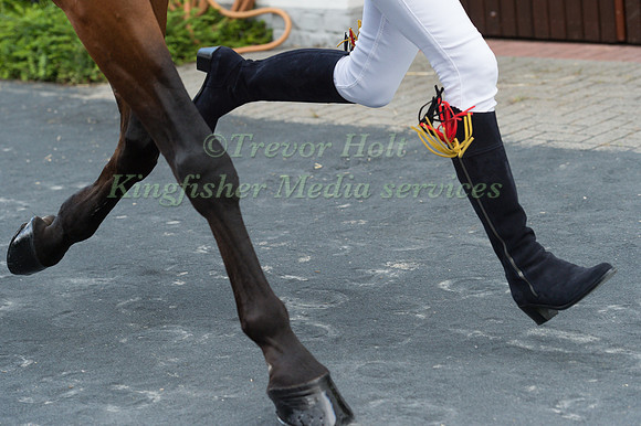 INGRID KLIMKE (GER) AND HORSEWARE HALE BOB