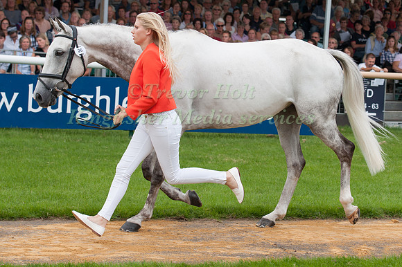Gina Ruck (GBR) and Rehy Too at the 1st horse inspection