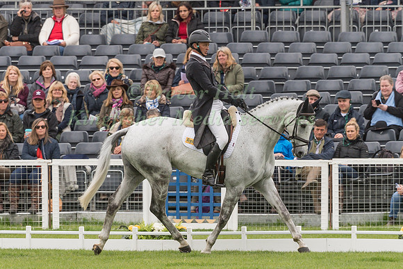 Andrew Nicholson (NZL) and  Swallow Springs