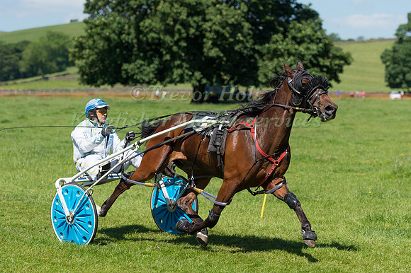 Harness racing at Helifield , Yorkshire