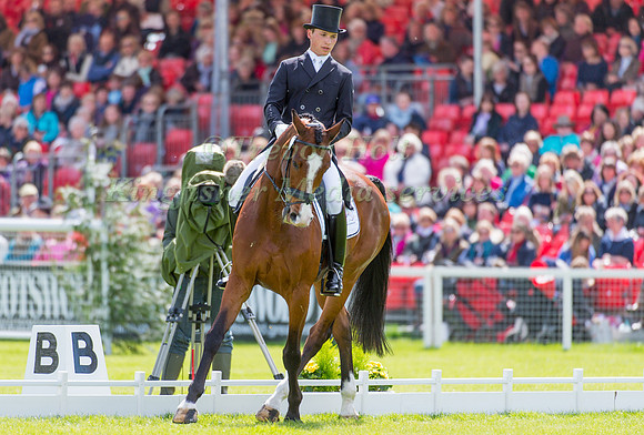 Niklas Bschorer (GER) riding Tom Tom Go 3