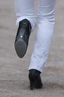 Final Horse Inspection