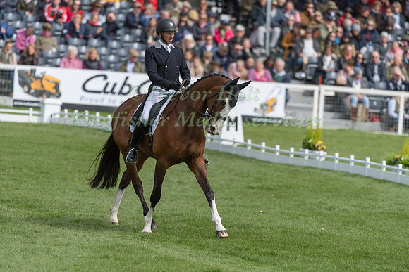 Michael Owen (GBR) and  Bradeley Law