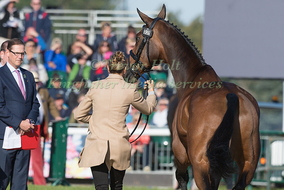 SARAH BULLIMORE (GBR) AND REVE DU ROUET