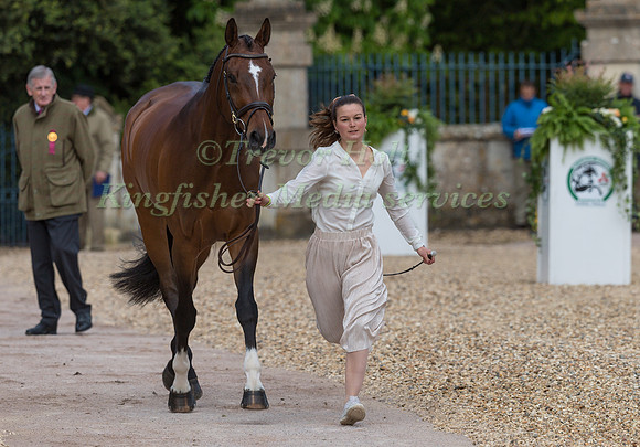 Malin Josefsson (SWE) and  Golden Midnight
