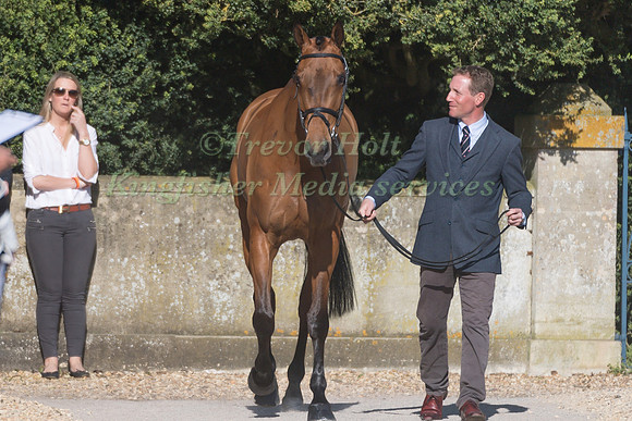 OLIVER TOWNEND  (GBR) AND  COOLEY SRS