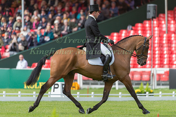 Joseph Miurphey riding Sportsfield Othello