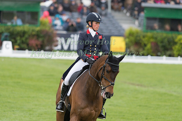 Izzy Taylor (GBR) and  Springpower