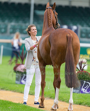 Polly Jackson (GBR) and Papillon at the 1st horse inspection
