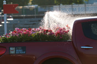 Watering the Flowers on the Mitsubishi Pickups