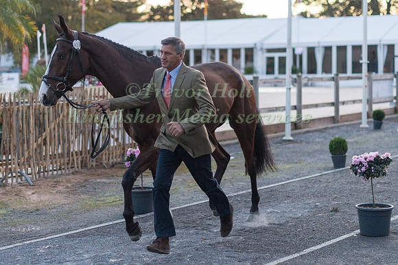 Andrew NICHOLSON  (NZL) AND JET SET