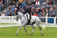Andrew Nicholson (NZL) and  Swallow Springs