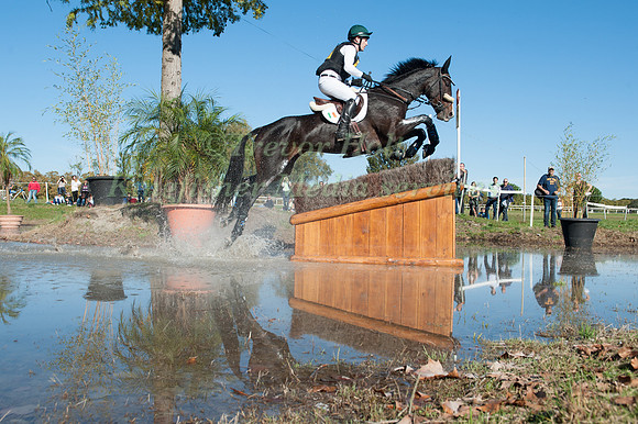 Ciaran Glynn (IRL) riding November Night