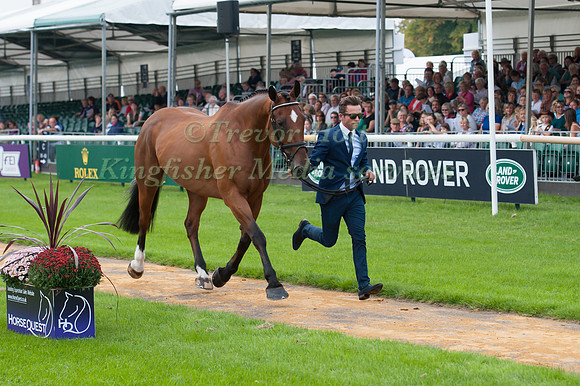 Ben Hobday (GBR) and Mulrys Error at the 1st Horse Inspection