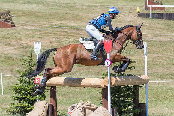 LUDWIG SVENNERSTAL (SWE) AND STINGER