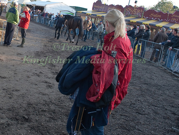 Watching Trot Up