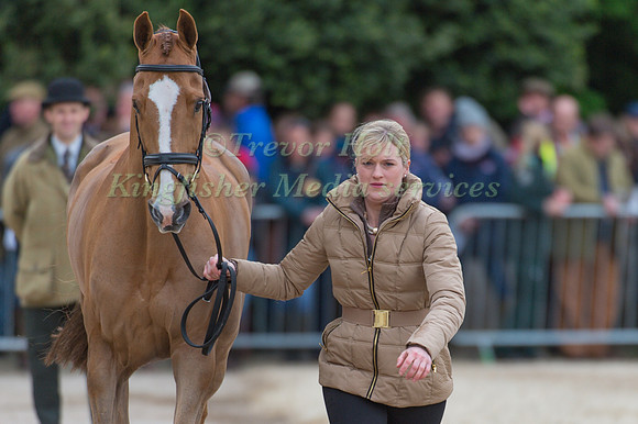 Clare Abbott (IRL) and Euro Prince