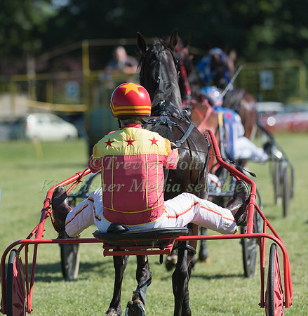 Harness racing at Helifield , Yorkshire
