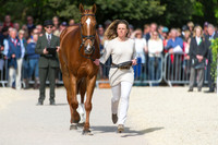 Pippa Funnelll and Redesigned