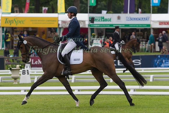 FRANCIS WHITTINGTON (GBR) AND CARLCHEN TAKING PART IN THE DRESSAGE PHASE OF THE  CCI THREE STAR COMPETITION AT THE 2017 EQUI-TREK BRAMHAM INTERNATIONAL HORSE TRIALS