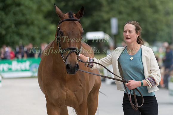 WILLA NEWTON (GBR) AND CHANCE REMARK AT THE EQUI-TREK CCI *** FINAL HORSE INSPECTION OF THE 2017 BRAMHAM INTERNATIONAL HORSE TRIALS