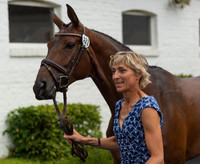 INGRID KLIMKE AND EQUISTROS SIENA JUST DO IT