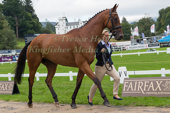 Gemma Tattersall of Great Britain with Arctic Soul