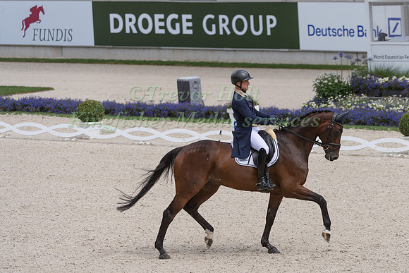 MICHAEL JUNG AND FISCHERCHIPMUNK FRH