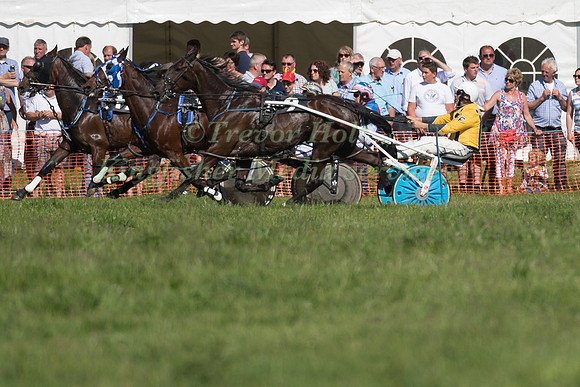 Harness racing at Helifield , Yorkshire
