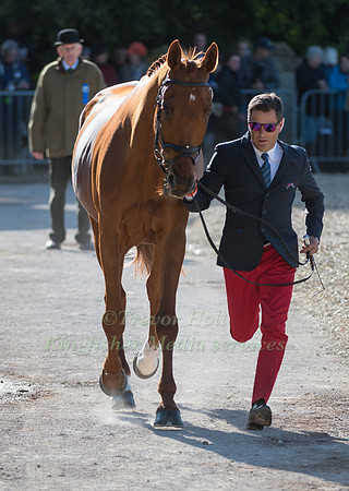 CEDRIC LYARD (FRA) AND  QATAR DU PUECH ROUGET